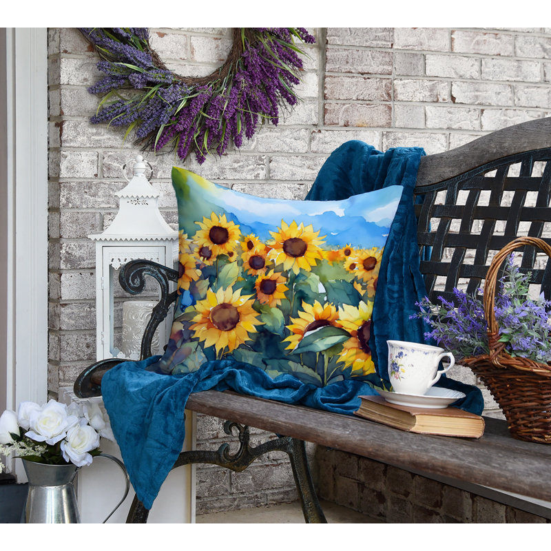 Other/No Pattern Outdoor Throw Pillow, Square 18"