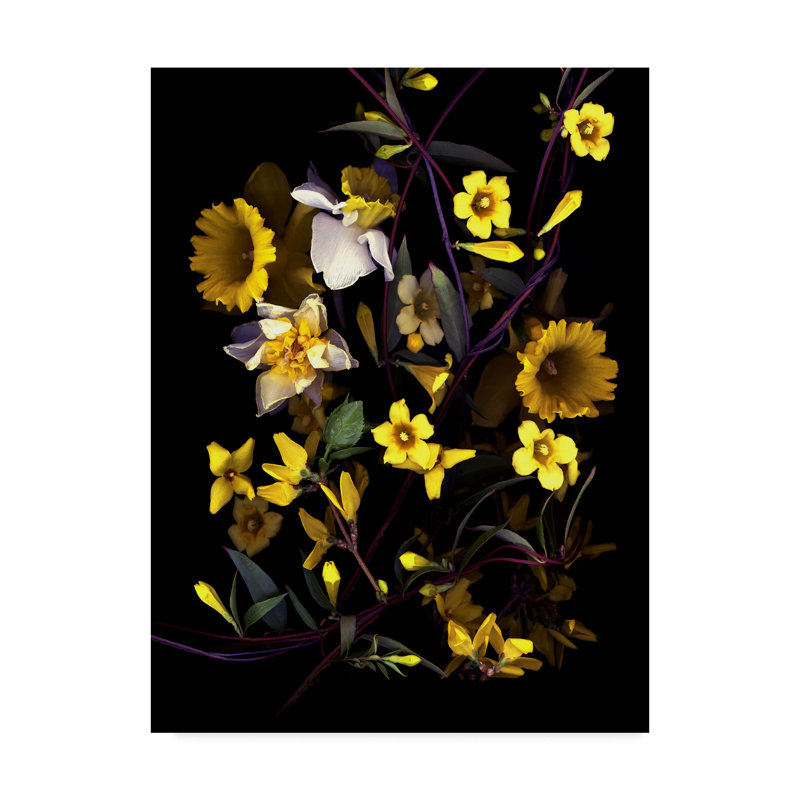Dosta «Yellow», impression sur toile tendue, H 47 po x l 35 po x P 2 po