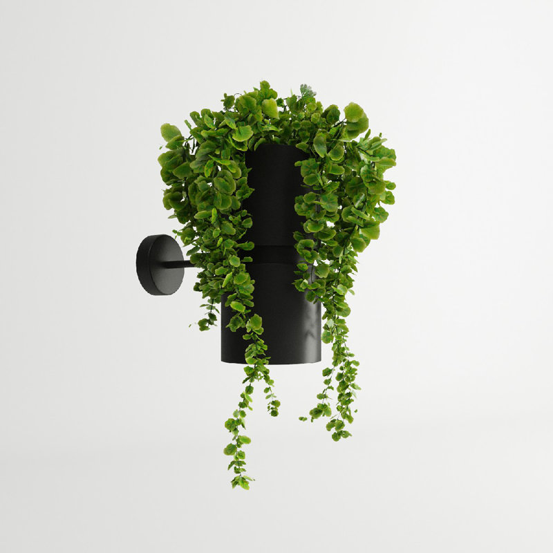 Aurielle Armed Sconce