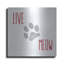  «Live Love Meow 2» par Erin Clark, art mural en métal, 24 po x 24 po-1996309267
