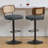 Adjustable Height 360° Swivel Bar Stools With Rattan Back-913062225