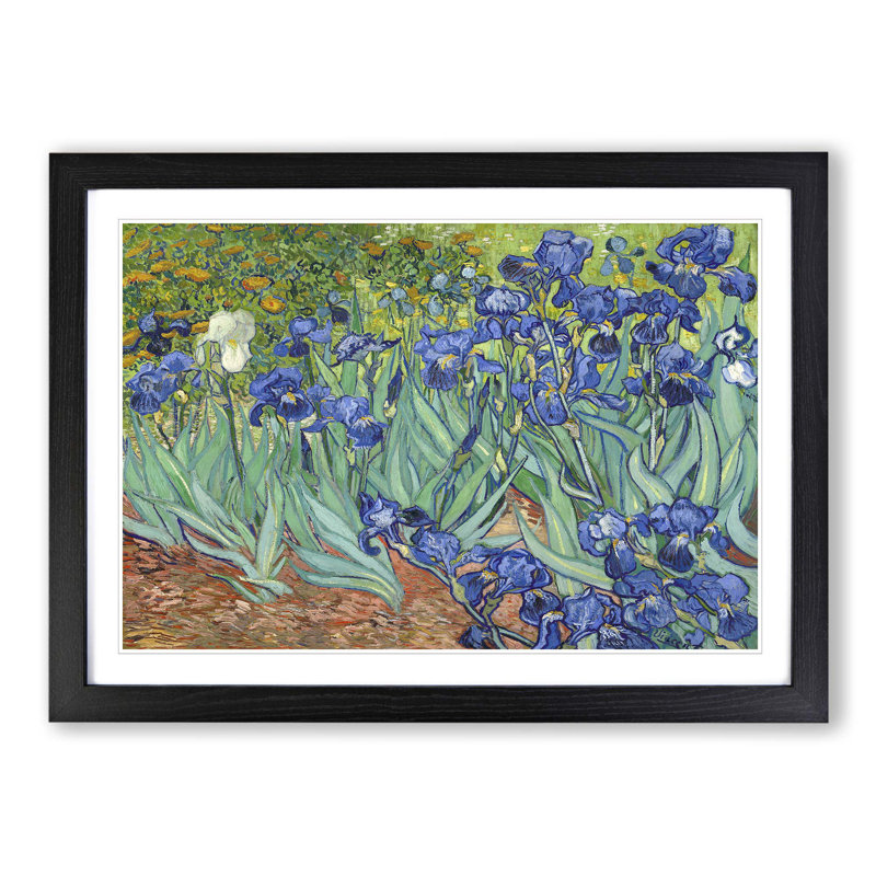 Iris Irises Flowers by Vincent Van Gogh - Framed Print, Black