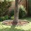 15 cm H x 450 cm W Lawn Edging Fencing with 1 Panel(s) Included