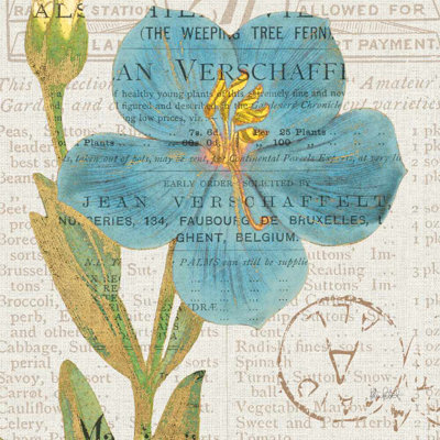 " Bookshelf Botanical VI " by Katie Pertiet