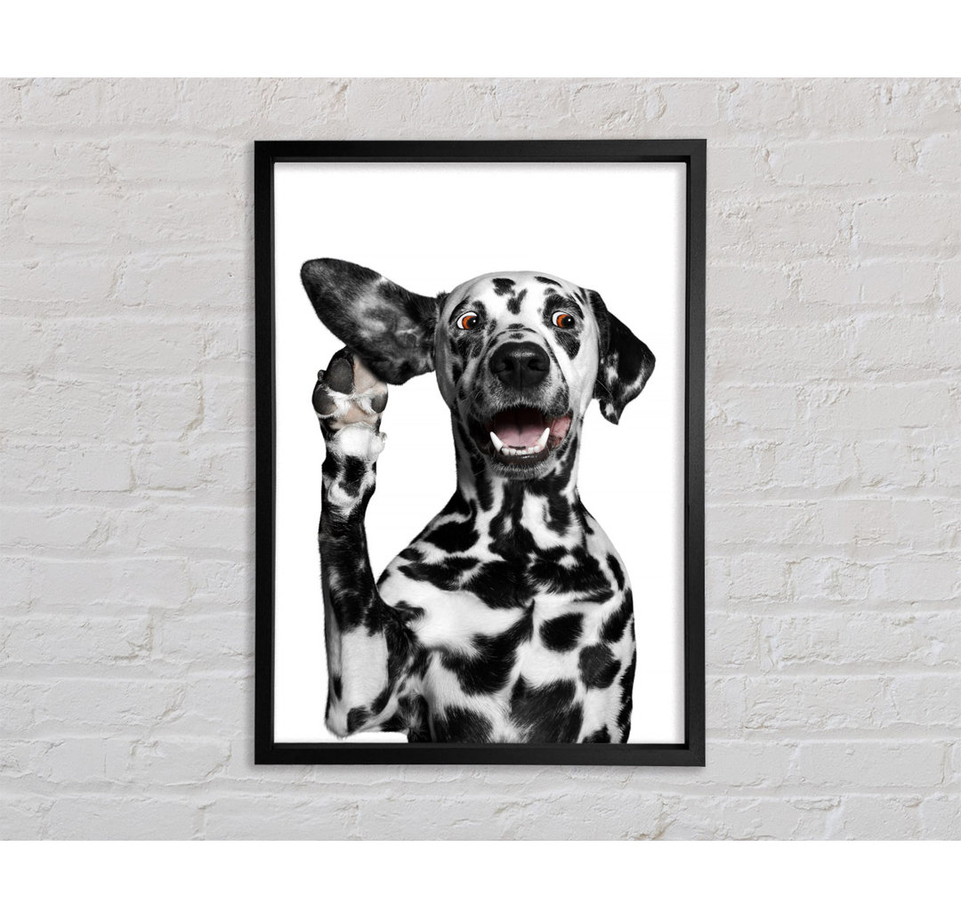 Dalmation Dog High Five - Einzelner Bilderrahmen Kunstdrucke auf Leinwand