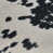 Black Cow Print