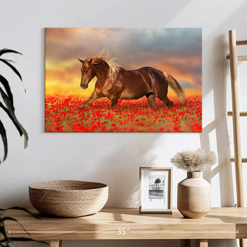 Cheval dans un champ de coquelicots, H 16 po x l 24 po