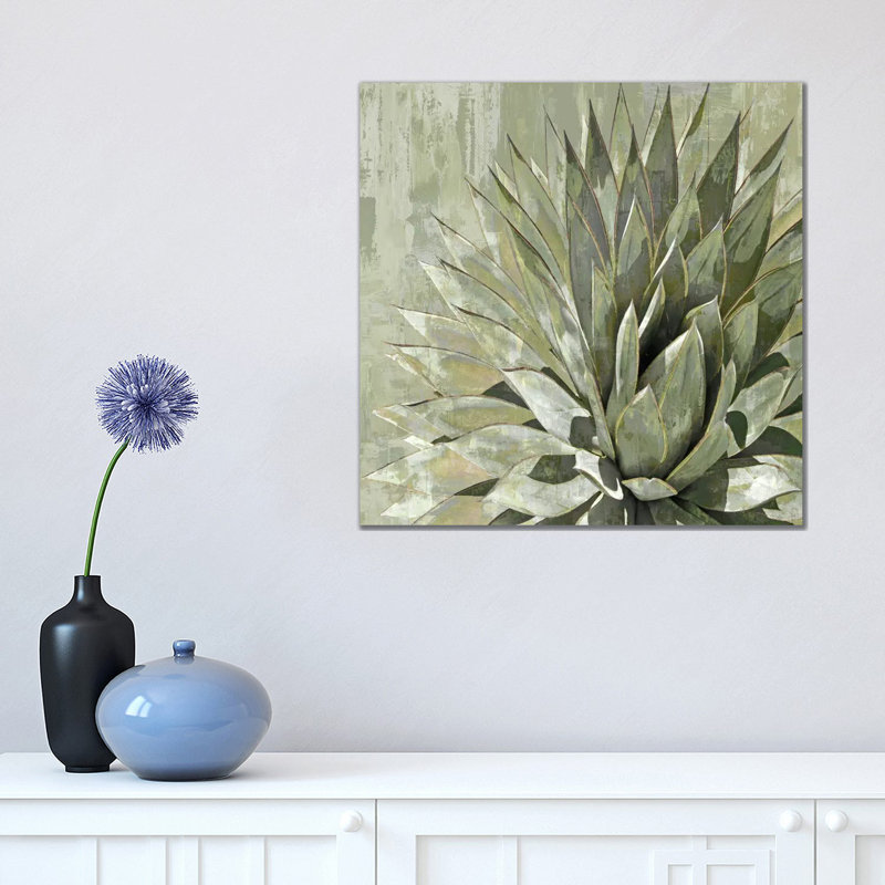 Succulent V by Lindsay Benson - Wrapped Canvas Gallery-Wrapped Canvas Giclée, 45.72 cm H x 45.72 cm W x 3.175 cm D