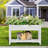 High-Density Polyethylene Elevated Planter-428315758