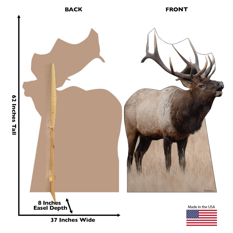 Elk