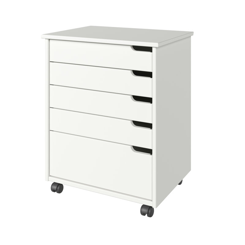 Ririe 5 Drawer Storage Drawer