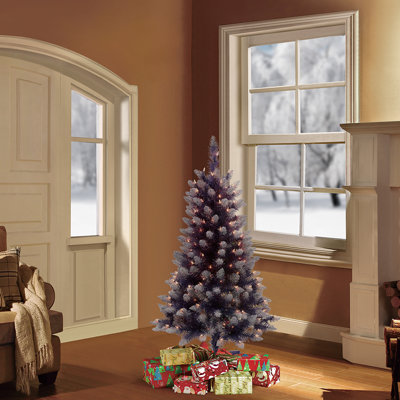 4' Lighted Pine Christmas Tree