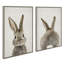 «Bunny Portrait on Linen and Bunny Tail on Linen» par Amy Peterson, ensemble d'art mural sur toile encadrée-580089406