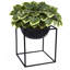 Jardinières en pot