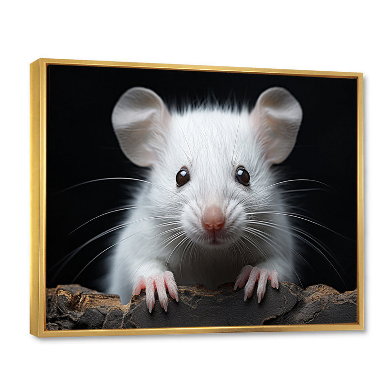 " White Small Rodent Wonders ", 34" H x 44" W x 1.5" D, Gold Floater Framed