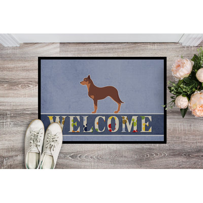 Non-Slip Outdoor Doormat