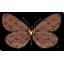"Louis Vuitton Butterfly (Horizontal)" par Jodi - impression-1115582061-1115582052-1177614673