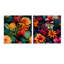 Jungle Splendor - motif tropical - ensemble d'art mural en verre acrylique Coastal-103927325