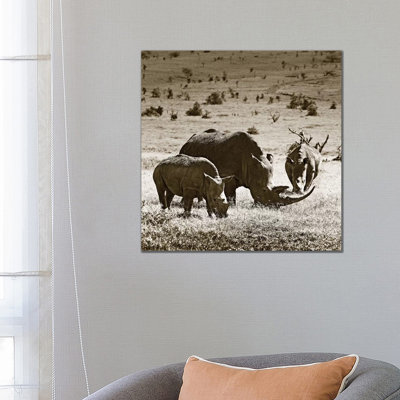 Grazing Rhinos 1 Piece Wrapped Canvas Wall Art
