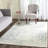 Nuss Performance Oriental Rug-58268698