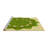 Oriental Indoor Rug-1653085279