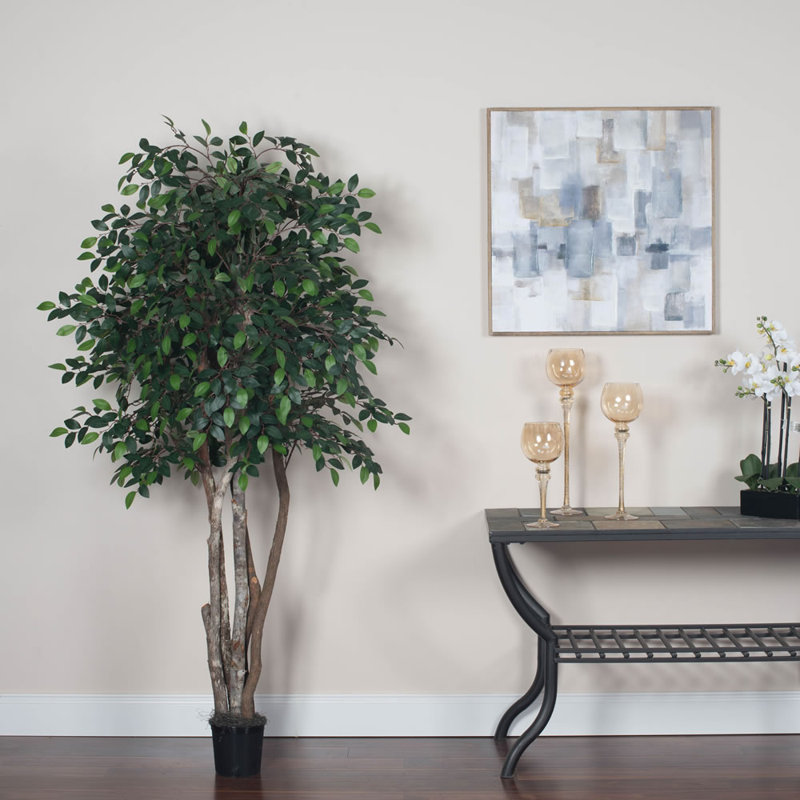 Arbre à feuillage en pot mini ficus