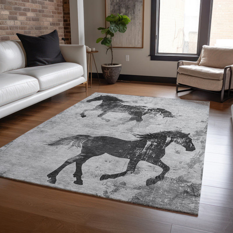 Tapis gris intérieur / extérieur lavable à la machine Cinead ACN1717, Rectangulaire 3 pi x 5 pi