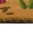 Danera Non-Slip Outdoor Doormat-1772468460