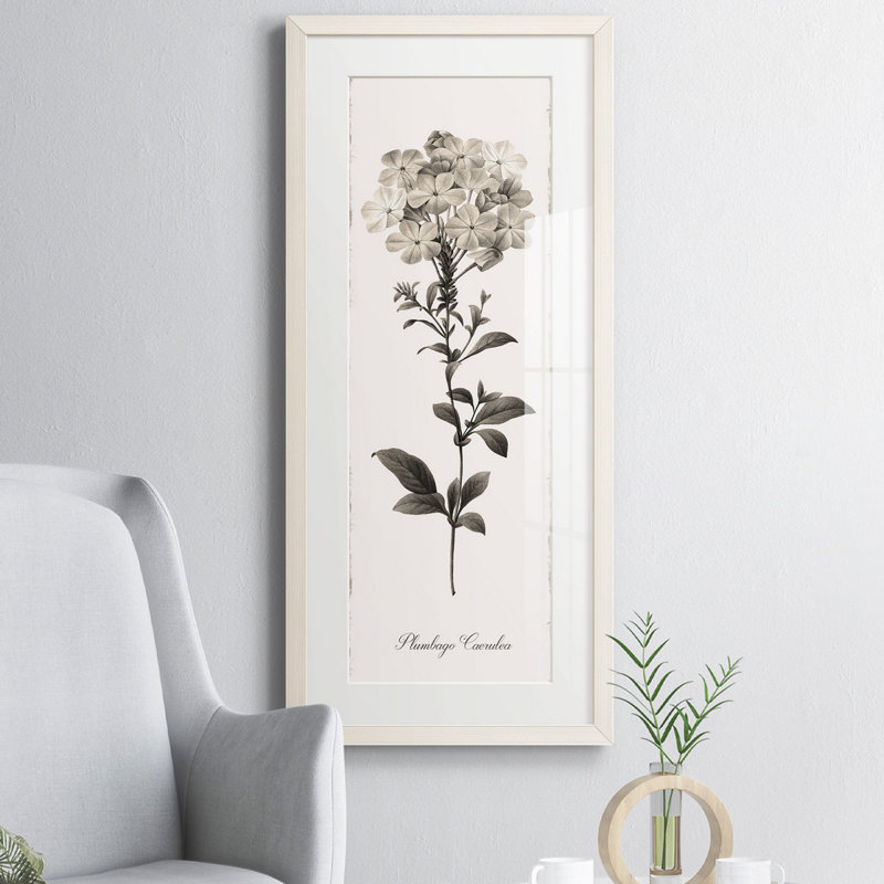 Impression de cadre photo sur papier, Blanc