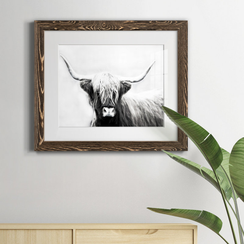 " Highland Longhorn ", 18" H x 24" W x 1.5" D, Walnut Framed Paper