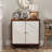 Catrinel Accent Cabinet-1140093299
