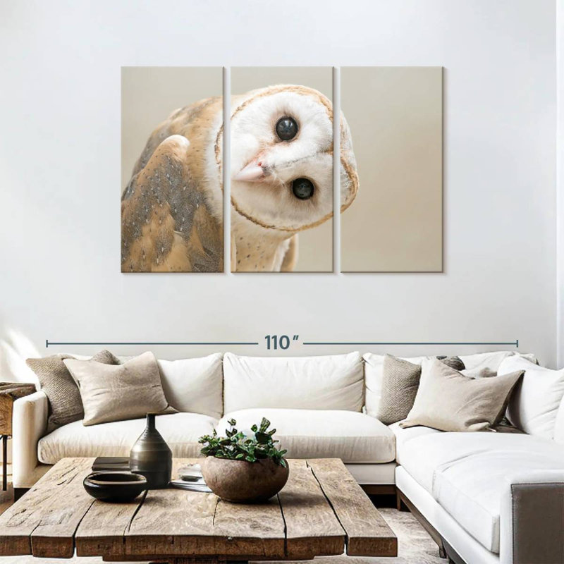 Barn Owl Gaze, 48" H x 74" W