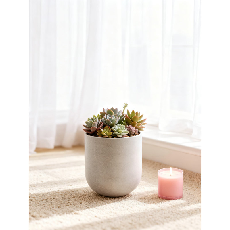 12 Inch Ceramic Planter Pot With Drainage Hole - Modern Indoor Plant Container For Home, Office, Patio Or Garden - Includes Rubber Plug And Mesh Pad