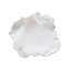 Maitake Wall Decor-Curled-Soft White