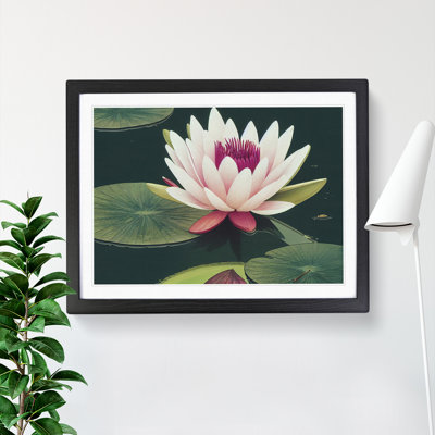 Breathtaking Water Lily Flower - Single Picture Frame Print
