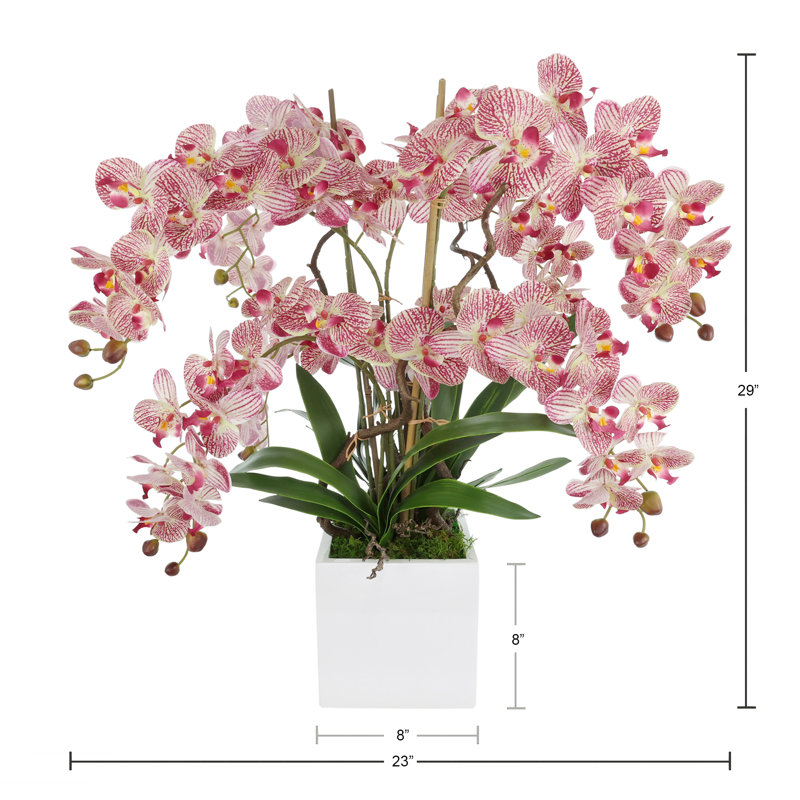 Pink Orchids Arranges in Square Fiberstone Planter