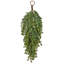 Mini feston de sapin 24 po Weinging Noble