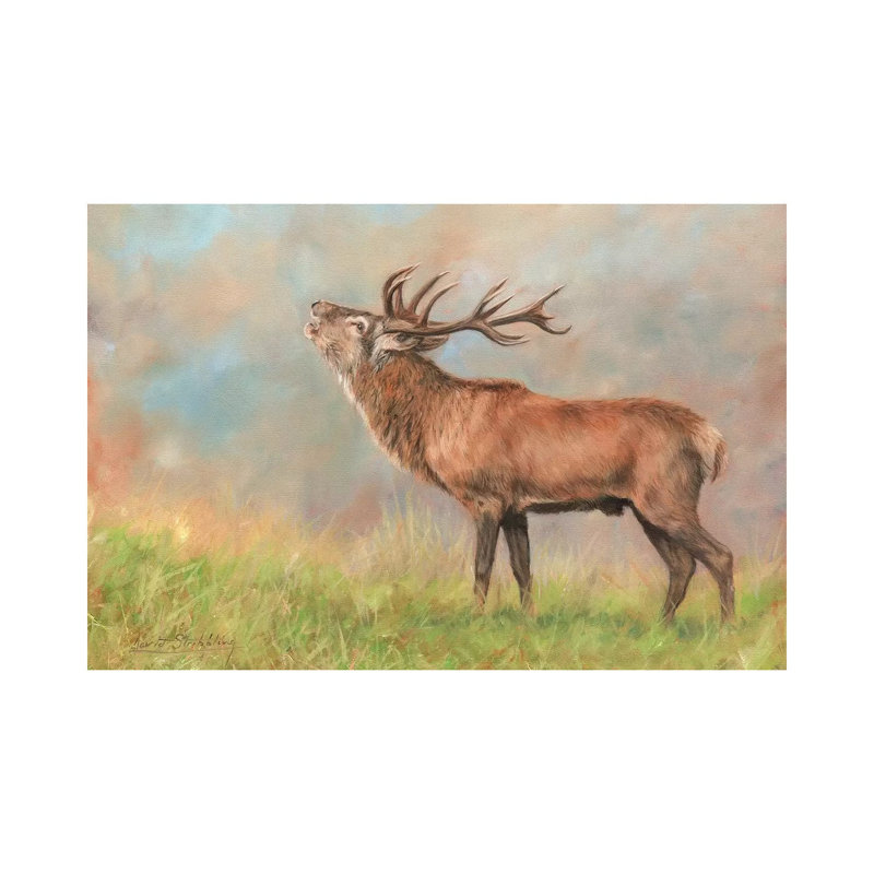 Red Deer 1 Piece Wrapped Canvas Painting, 30.48 cm H x 45.72 cm W
