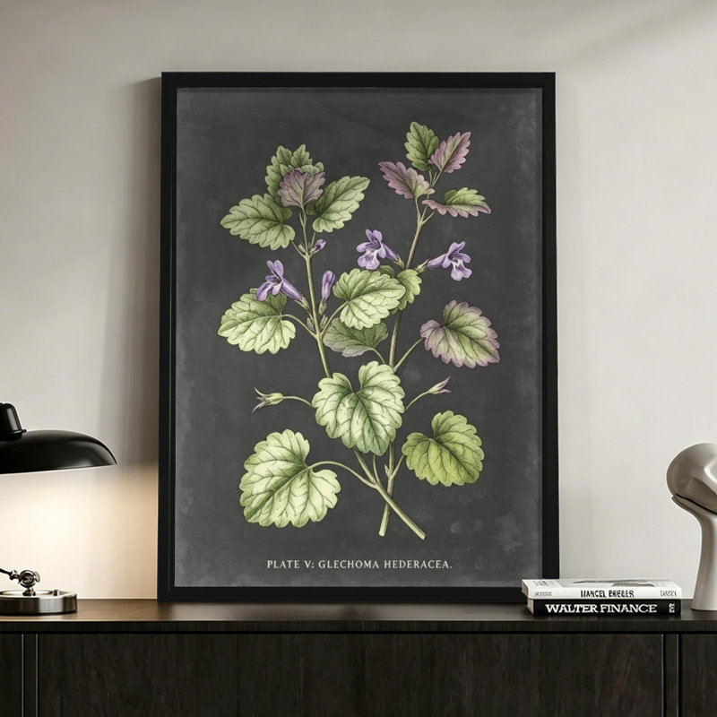 Illustration moderne à base de plantes abstraites: Glechoma hederacées avec fleurs mauves, style imprimé botanique. Toile encadrée 24 "x 36" avec cadre en bois noir