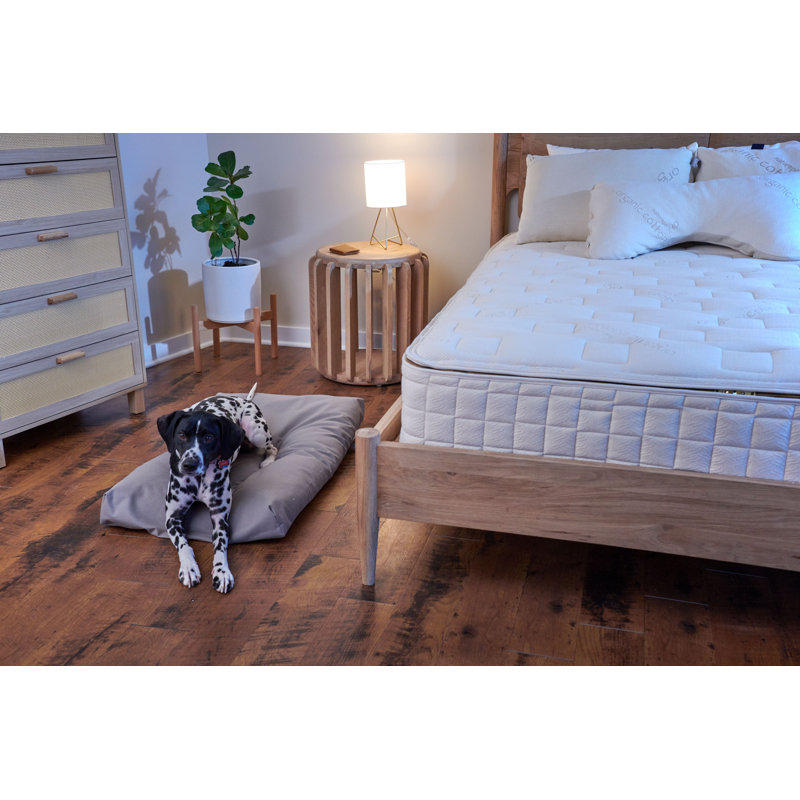 Naturepedic Organic Pet Bed with Washable Waterproof Cover, 23" H x 17" W x 3" D