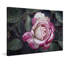 Vintage And Variagated by Leda Robertson - Wrapped Canvas Print-1529204100