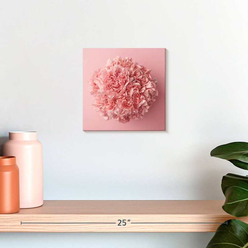 Œillet Harnek rose, H 10 po x l 10 po