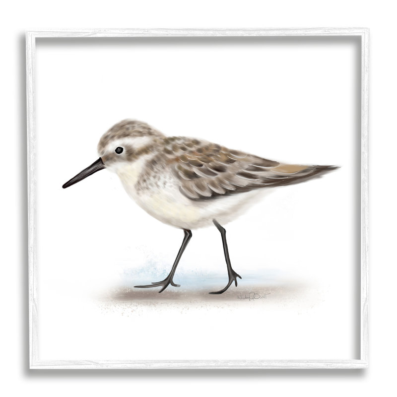 Oiseau bécasseau nautique sur plumes mouchetées - impression, Giclée encadrée blanc bord de mer, H 12 po x l 12 po x P 1,5 po