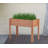Raised Garden Bed with Legs, Elevated Wooden Planter Box for Outdoor Plants Flowers Fruits Vegetable Herb Growing-123818036-123818034