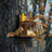 Carbonized Wood Squirrel Feeder With Longer Platform
