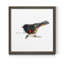 Mixed signaux III-reproduction d’art sur toile encadrée-1737754377-1737754378