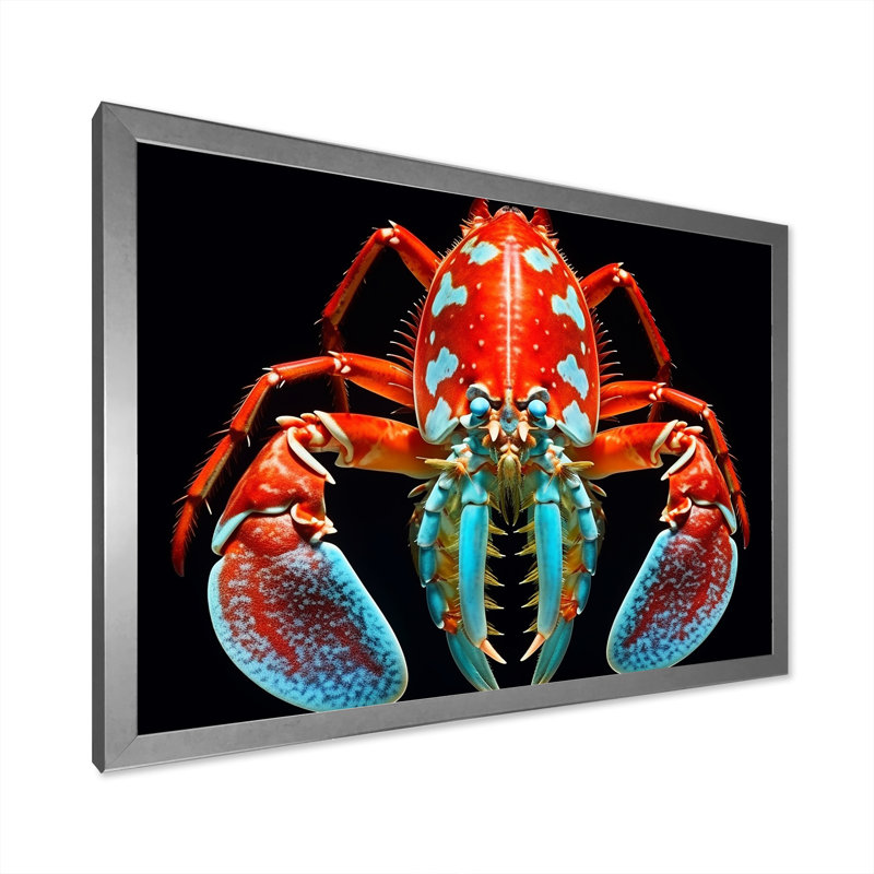 Photo de crevette mante rouge et turquoise sur toile, 24" H x 32" W x 1" D, Silver Single Picture Framed