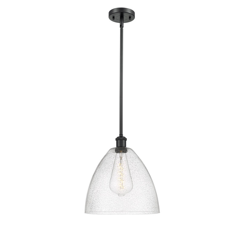 Luminaire suspendu en forme de globe à 1 lumière Angeliz, H 45,75 po x l 12 po x P 12 po, Ampoule non incluse, Noir mat