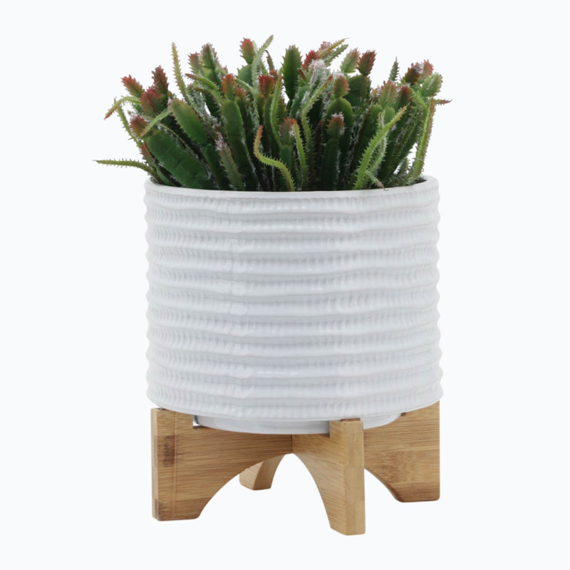Yichen Ceramic Pot Planter