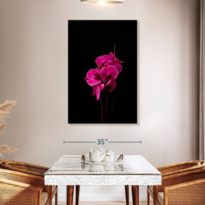 Magenta Orchid Flowers